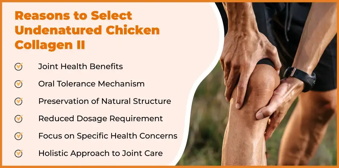 Undenatured Type II Collagen Benefits Undenatured Type II Collagen Benefits