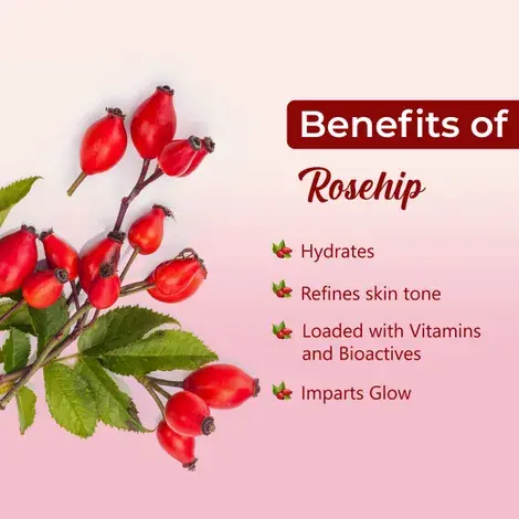 Rosehip extract benefits Rosehip extract benefits