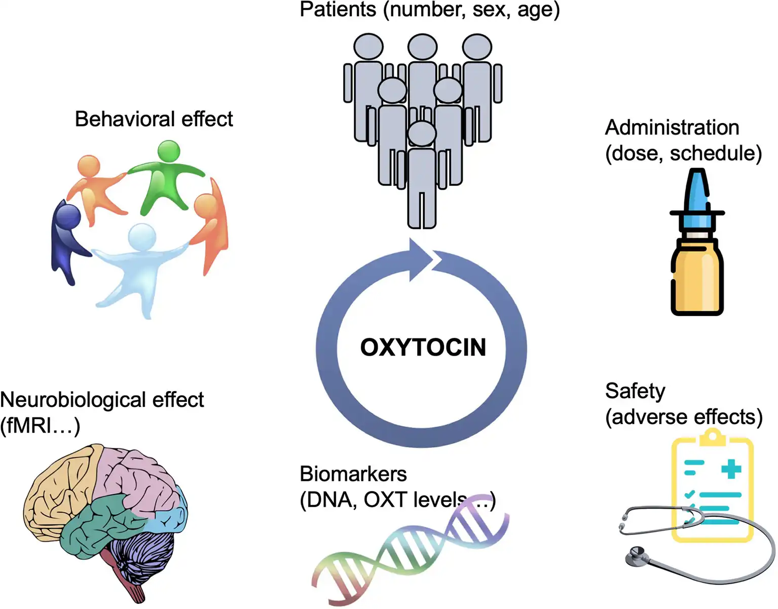 Oxytocin benefits Oxytocin benefits