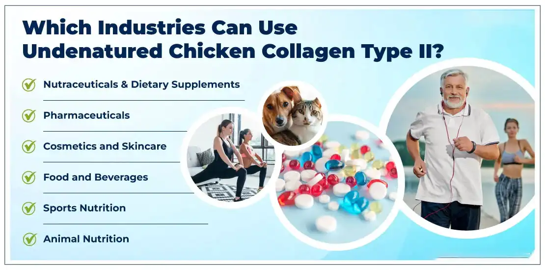 Undenatured Type II Collagen Powder Benefits Undenatured Type II Collagen Powder Benefits
