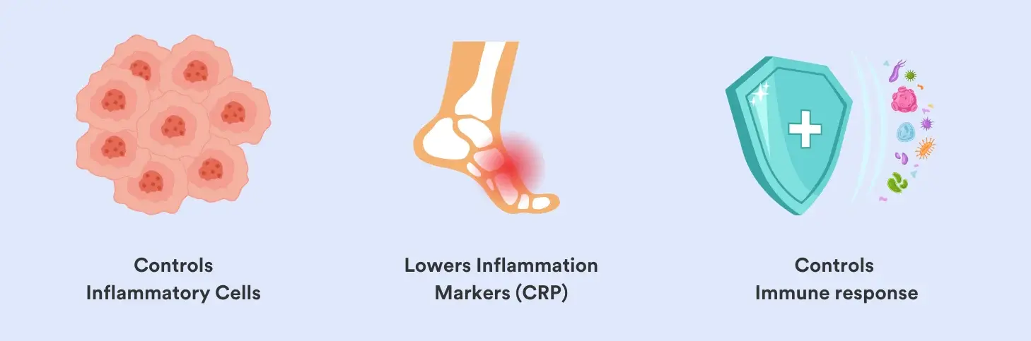 Rosehip extract benefits Rosehip extract benefits