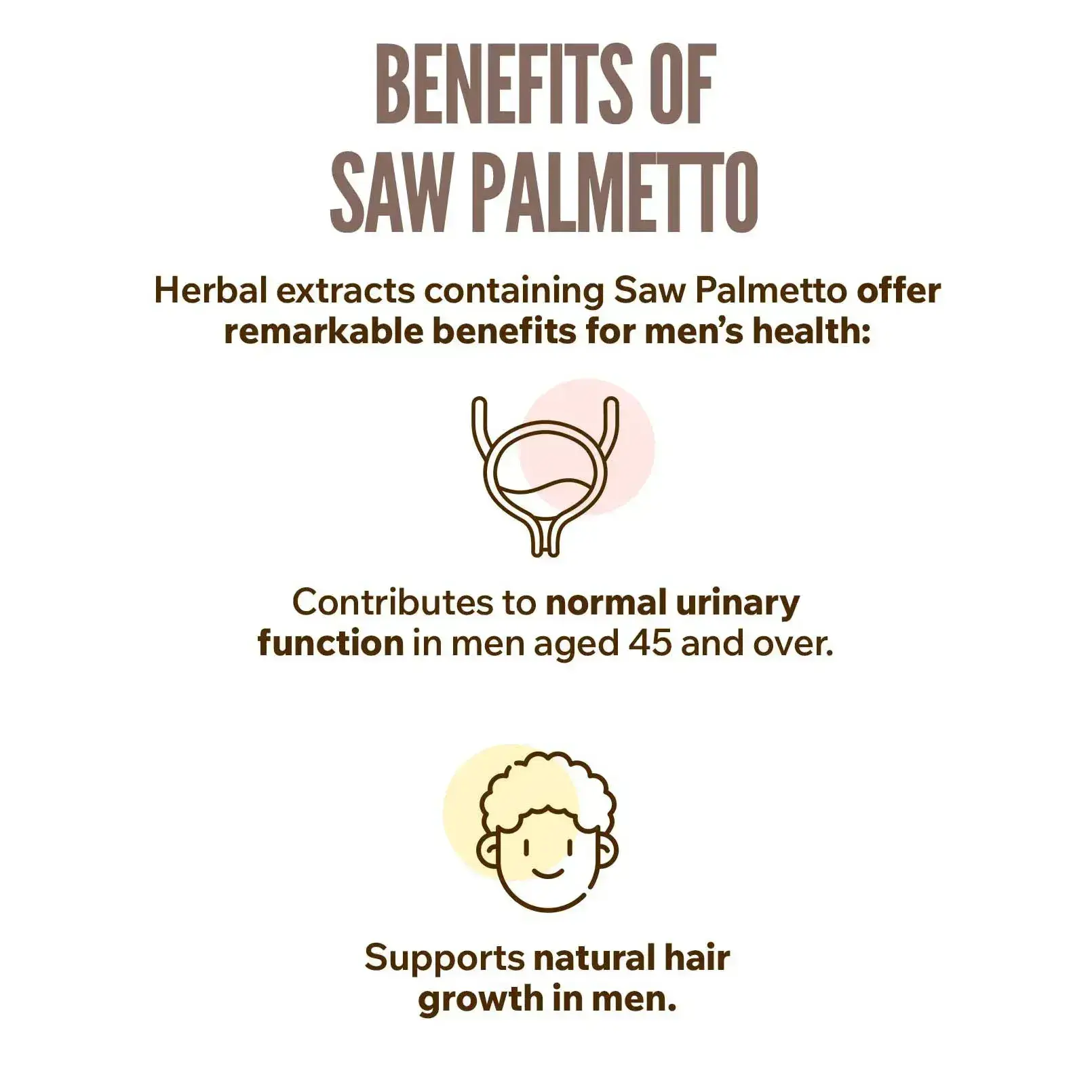 Saw Palmetto Extract Benefits Saw Palmetto Extract Benefits