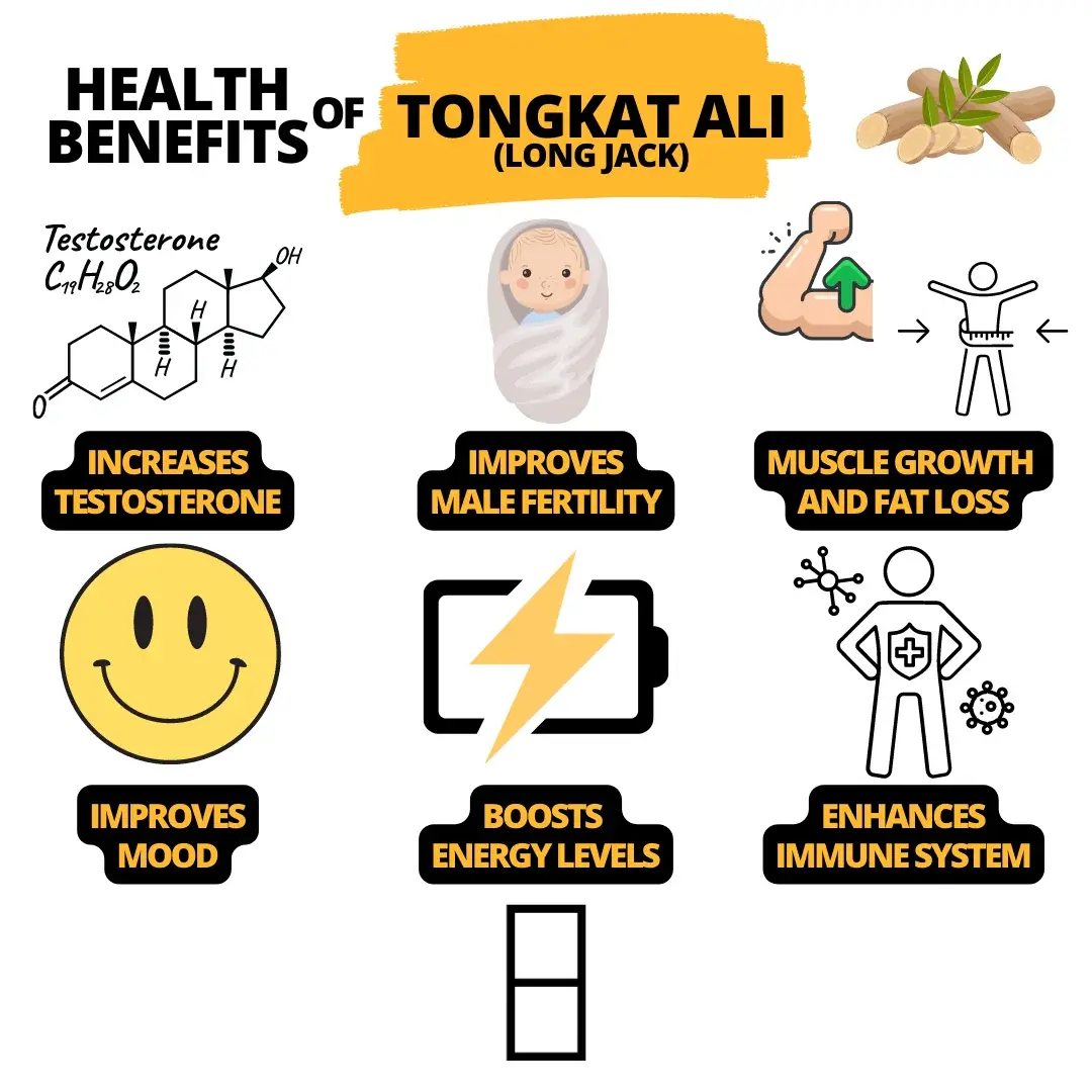 Tongkat ali extract benefits Tongkat ali extract benefits