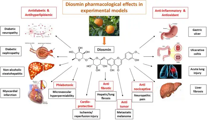 Diosmin benefits Diosmin benefits