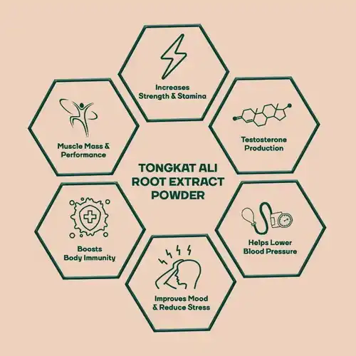 Tongkat ali root extract benefits Tongkat ali root extract benefits