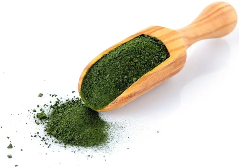 Broken Cell Wall Chlorella Powder Broken Cell Wall Chlorella Powder