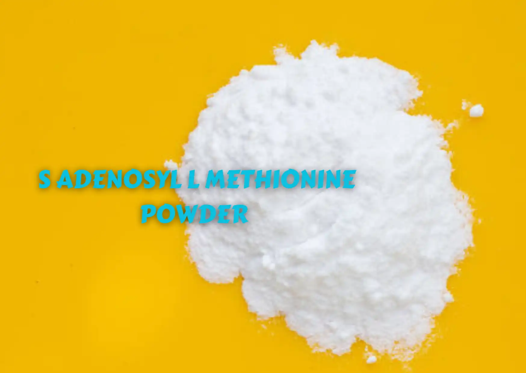 S-Adenosyl Methionine Powder S-Adenosyl Methionine Powder