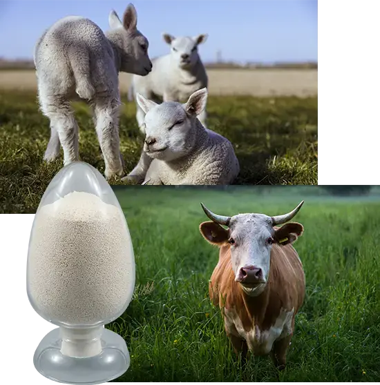 L-Lysine Hydrochloride In Feed L-Lysine Hydrochloride In Feed