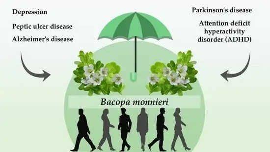 Bacopa Monnieri Extract Powder Benefits Bacopa Monnieri Extract Powder Benefits