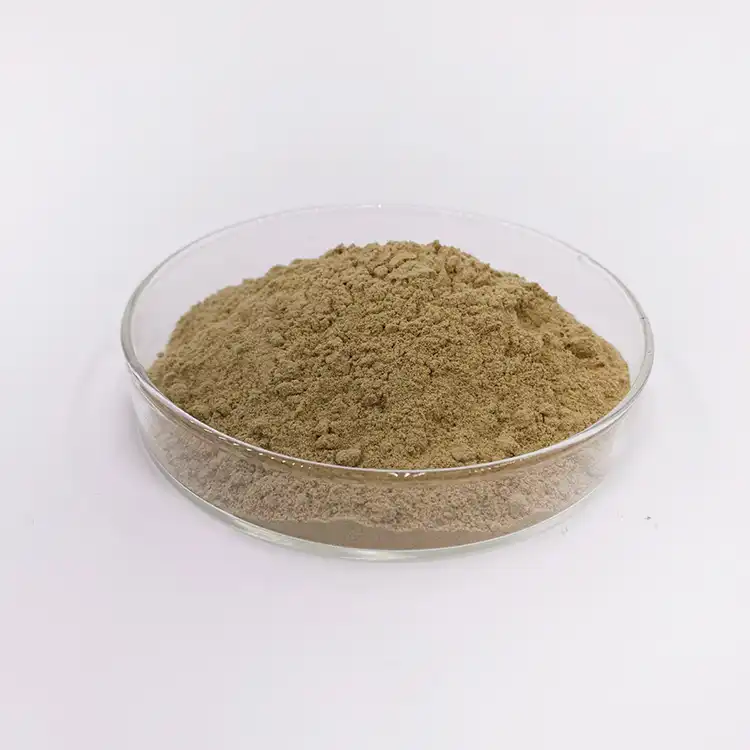 Echinacea Extract Powder Echinacea Extract Powder