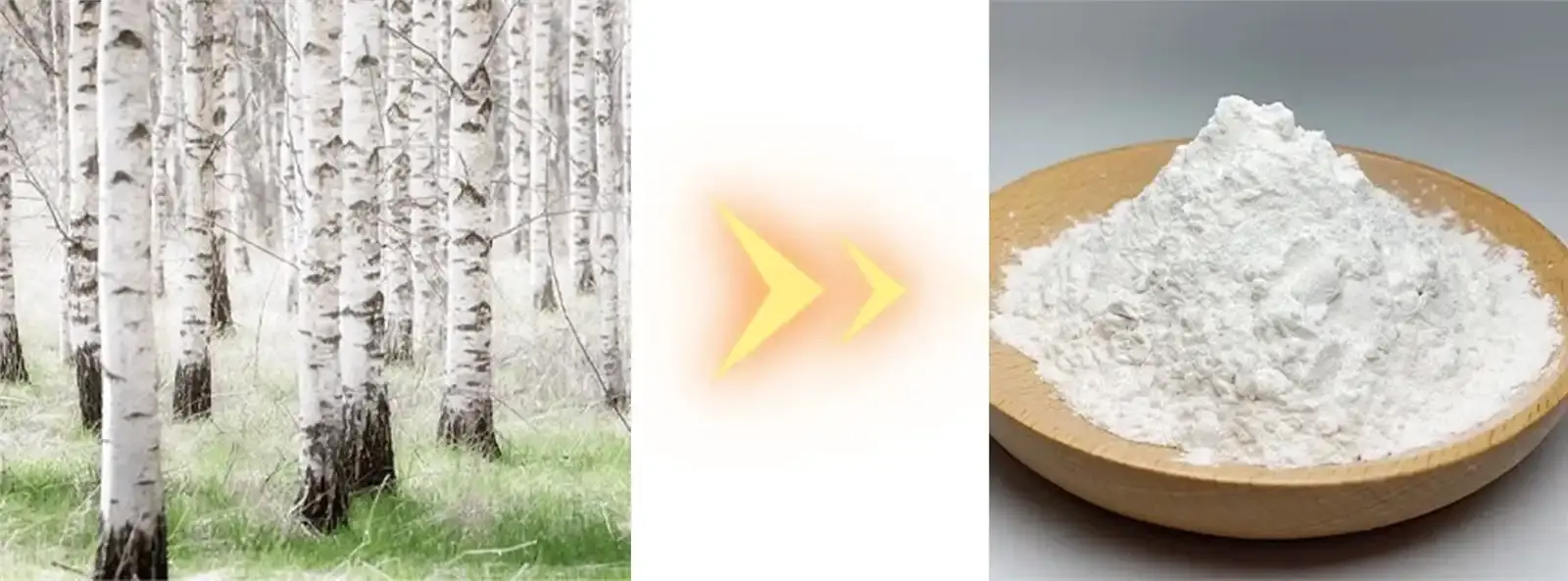 Betulin powder Betulin powder