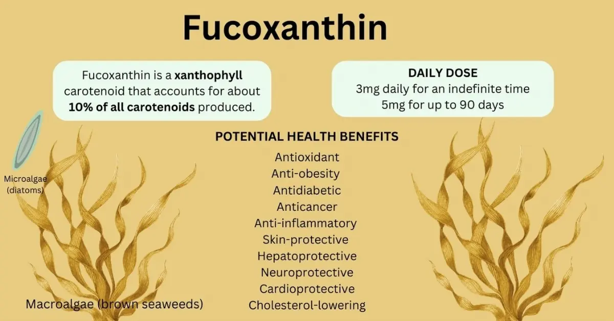 Benefits of Fucoxanthin Benefits of Fucoxanthin