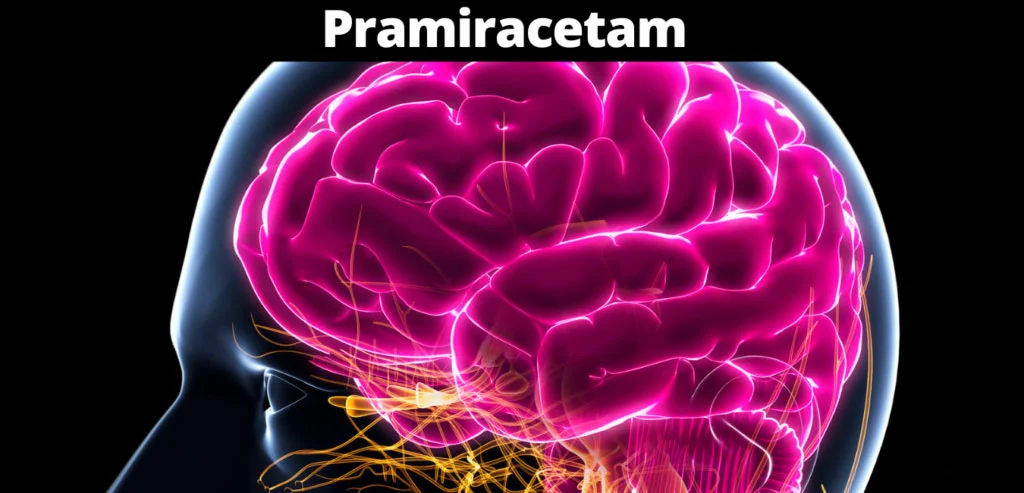 Pramiracetam Powder Pramiracetam Powder