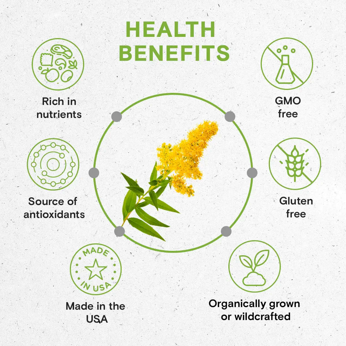 Goldenrod Extract Benefits Goldenrod Extract Benefits