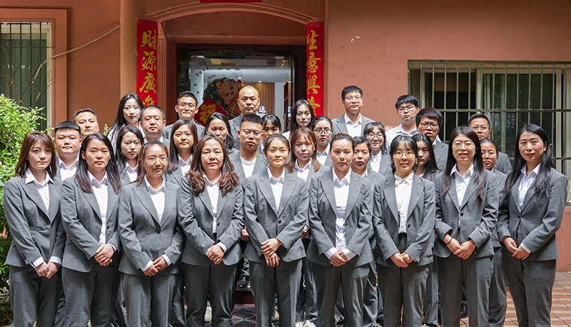 Shaanxi hongda's team Shaanxi hongda's team