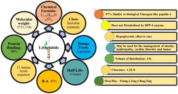 Mechanism of Liraglutide Powder Mechanism of Liraglutide Powder