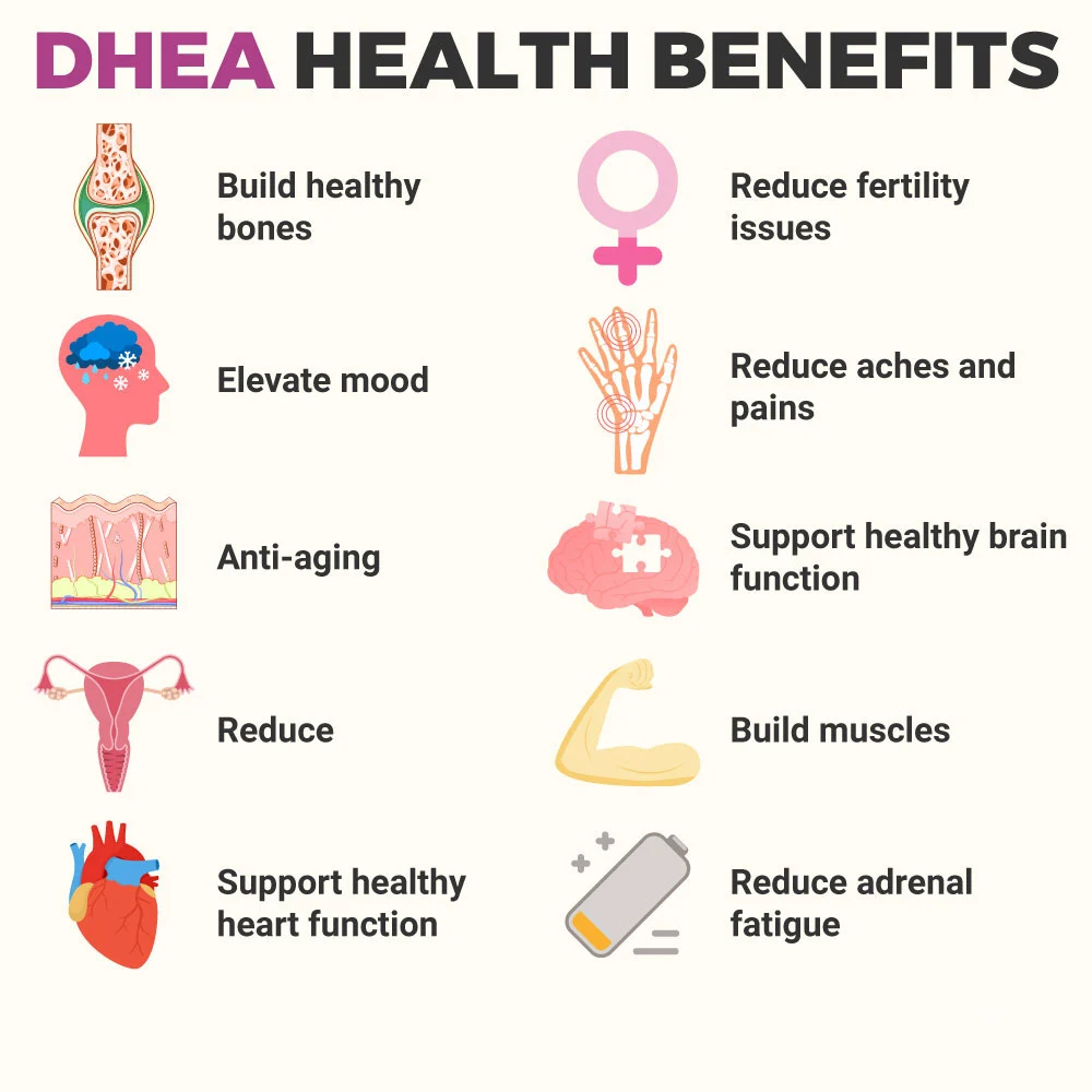 DHEA benefits DHEA benefits