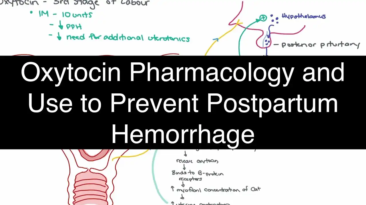 The Pharmacological Mechanism Behind Oxytocin's Hemorrhage Control The Pharmacological Mechanism Behind Oxytocin's Hemorrhage Control