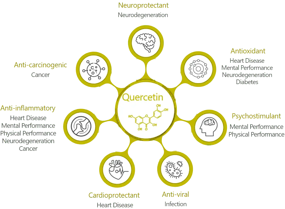 Quercetin benefits 