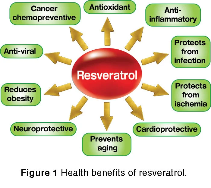 Pure Resveratrol Extract Benefits: Pure Resveratrol Extract Benefits: