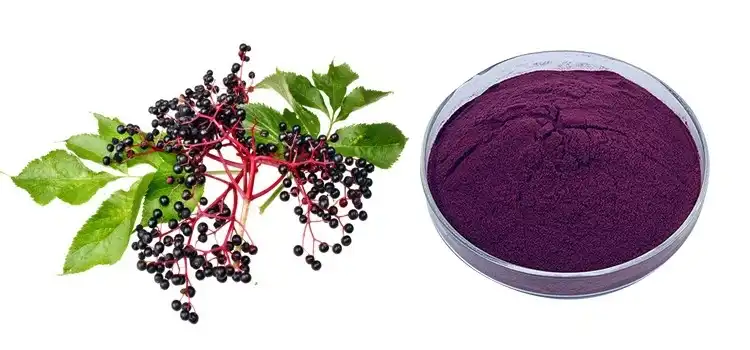 Elderberry powder Elderberry powder