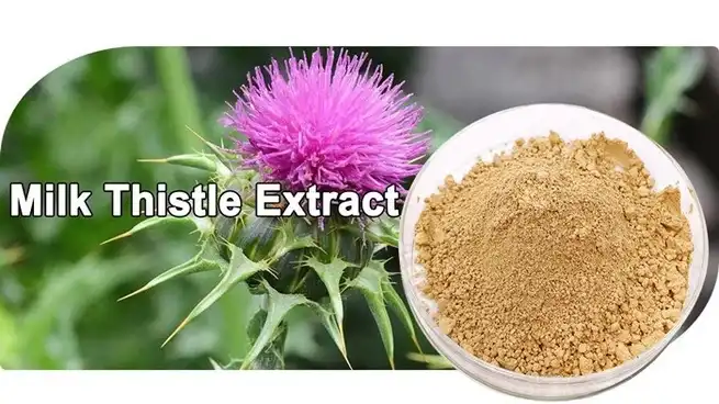 Milk Thistle Extract