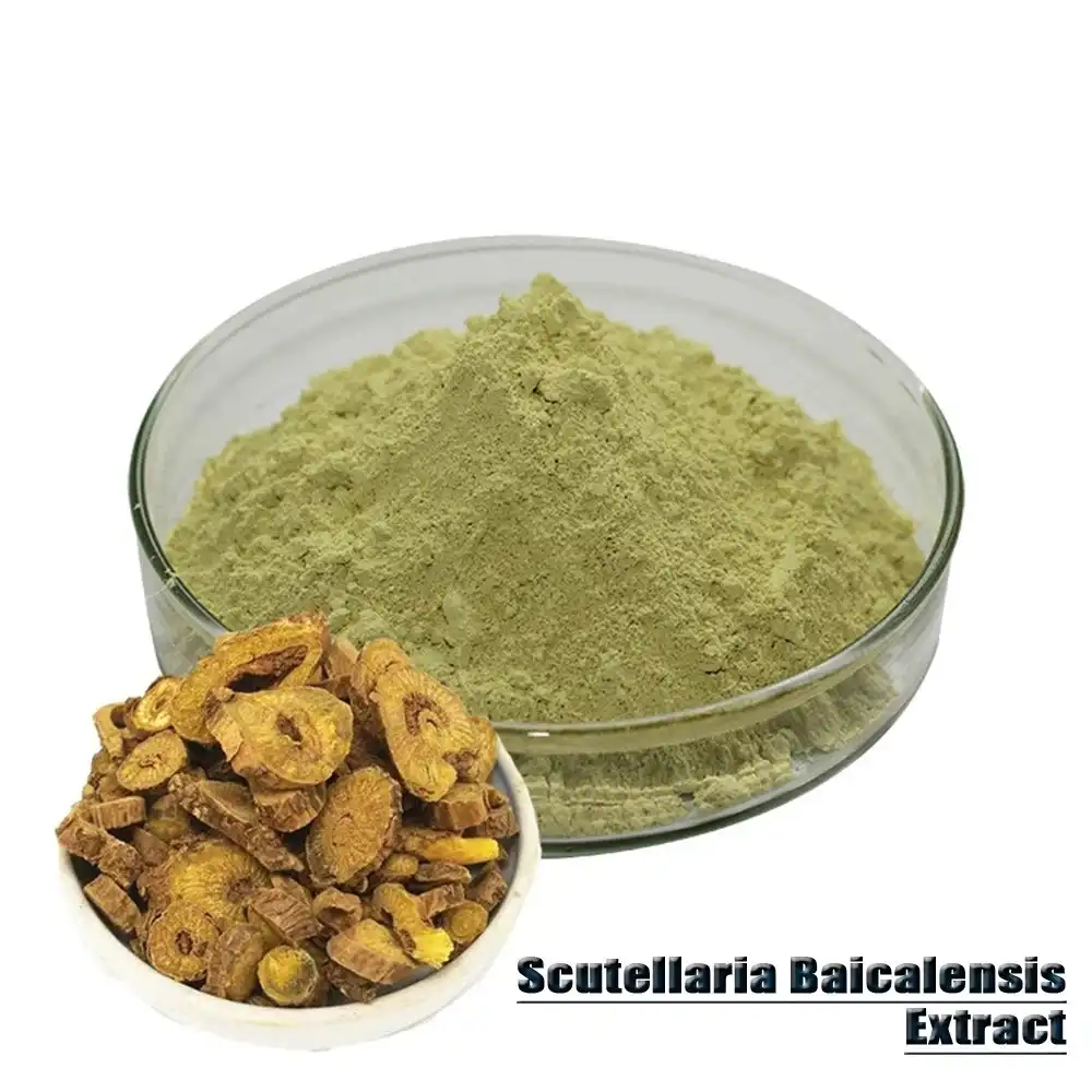 Scutellaria Baicalensis Extract Powder Scutellaria Baicalensis Extract Powder