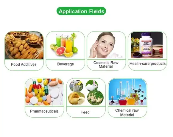 Milk Thistle Extract Powder Applications: