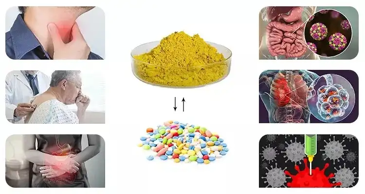 Berberis Aristata Root Extract Application