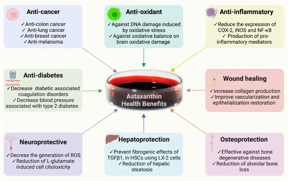  Astaxanthin benefits 