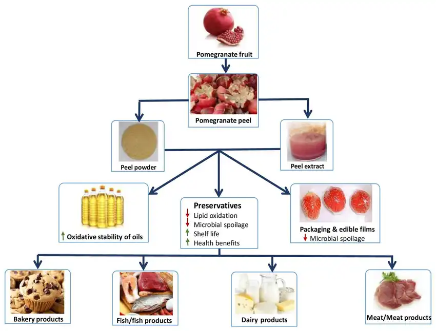 Pomegranate Bark Extract Applications Pomegranate Bark Extract Applications