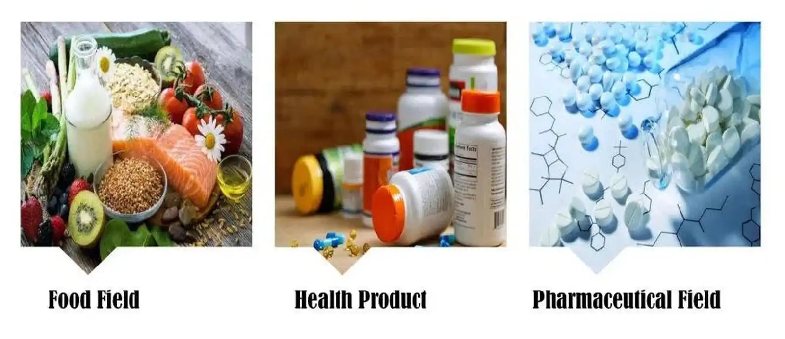 Alpha GPC powder uses Alpha GPC powder uses