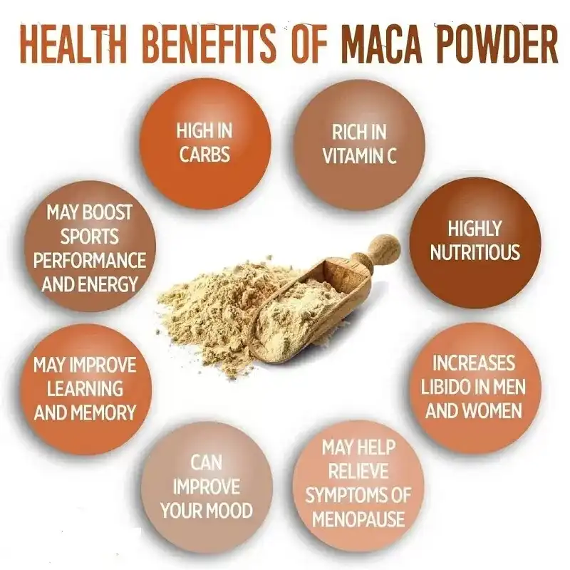 Maca root extract benefits Maca root extract benefits