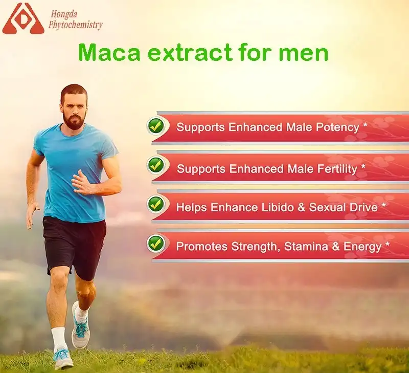 Maca extract for men Maca extract for men