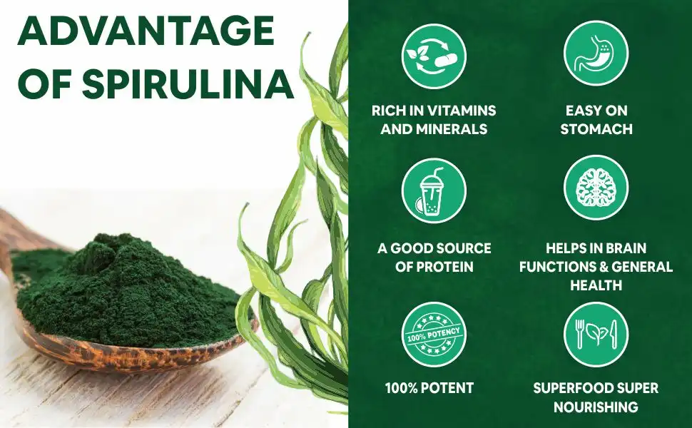 Health benefits of spirulina powder Health benefits of spirulina powder