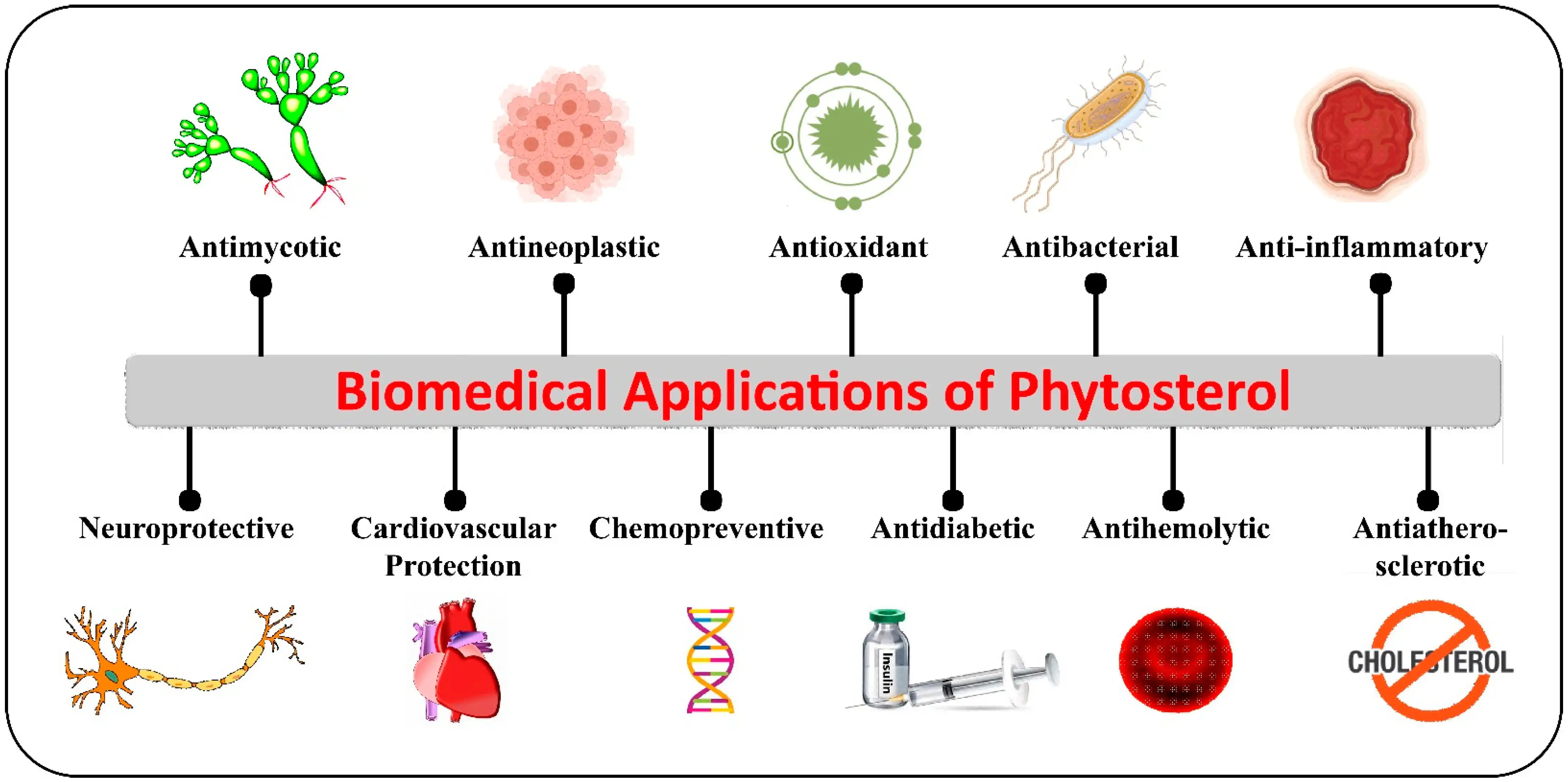 Cardiovascular Health Applications of Phytosterol Cardiovascular Health Applications of Phytosterol