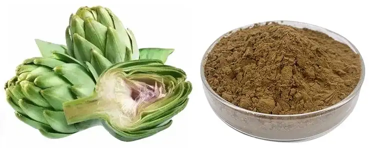 Artichoke Extract Powder Artichoke Extract Powder