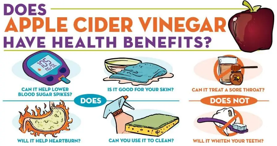 Apple cider vinegar powder benefits Apple cider vinegar powder benefits
