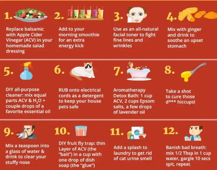 Apple cider vinegar powder uses Apple cider vinegar powder uses