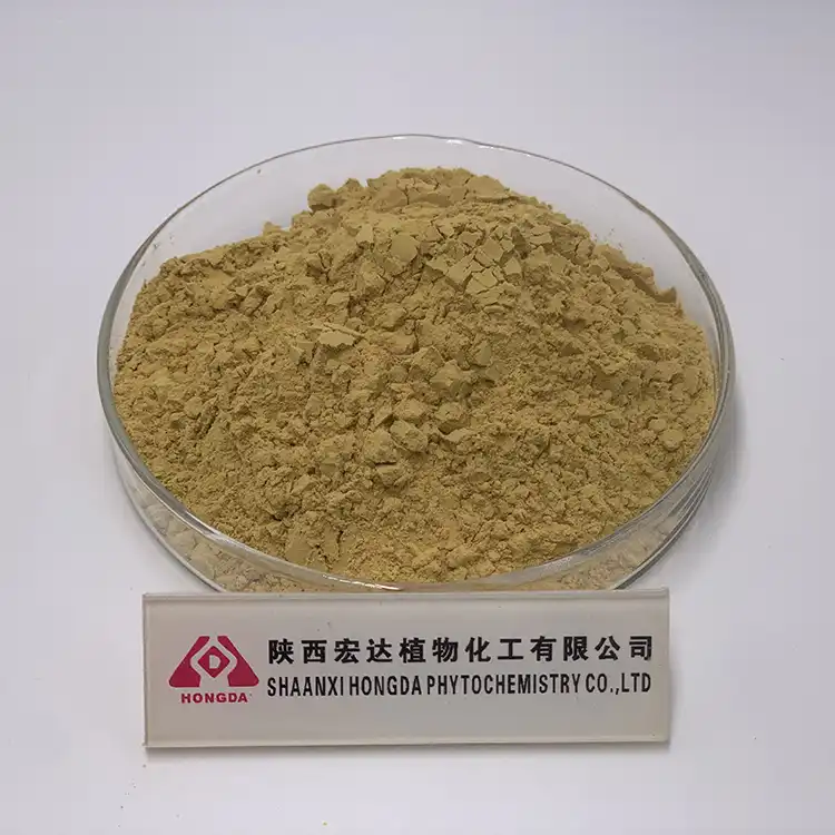 Gingko bilobaa extract powder Gingko bilobaa extract powder