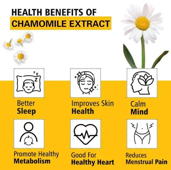 chamomile extract powder benefits chamomile extract powder benefits