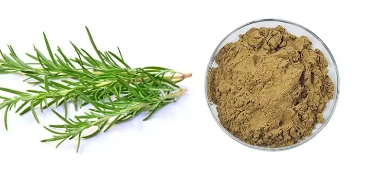Rosemary powder