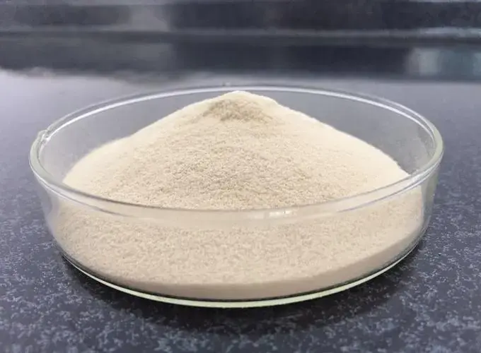 Chicken Type II Collagen Peptide Chicken Type II Collagen Peptide
