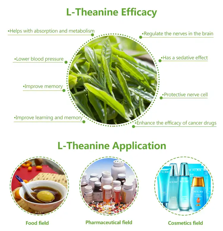 Green tea extract powder benefits Green tea extract powder benefits