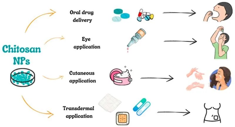 Applications of Chitosan Powder Applications of Chitosan Powder