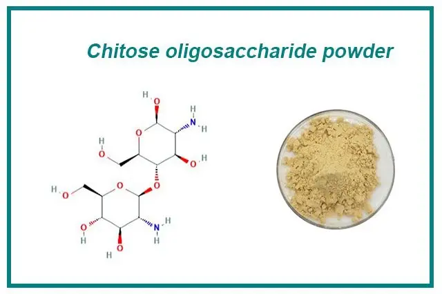 Chitosan oligosaccharides powder Chitosan oligosaccharides powder