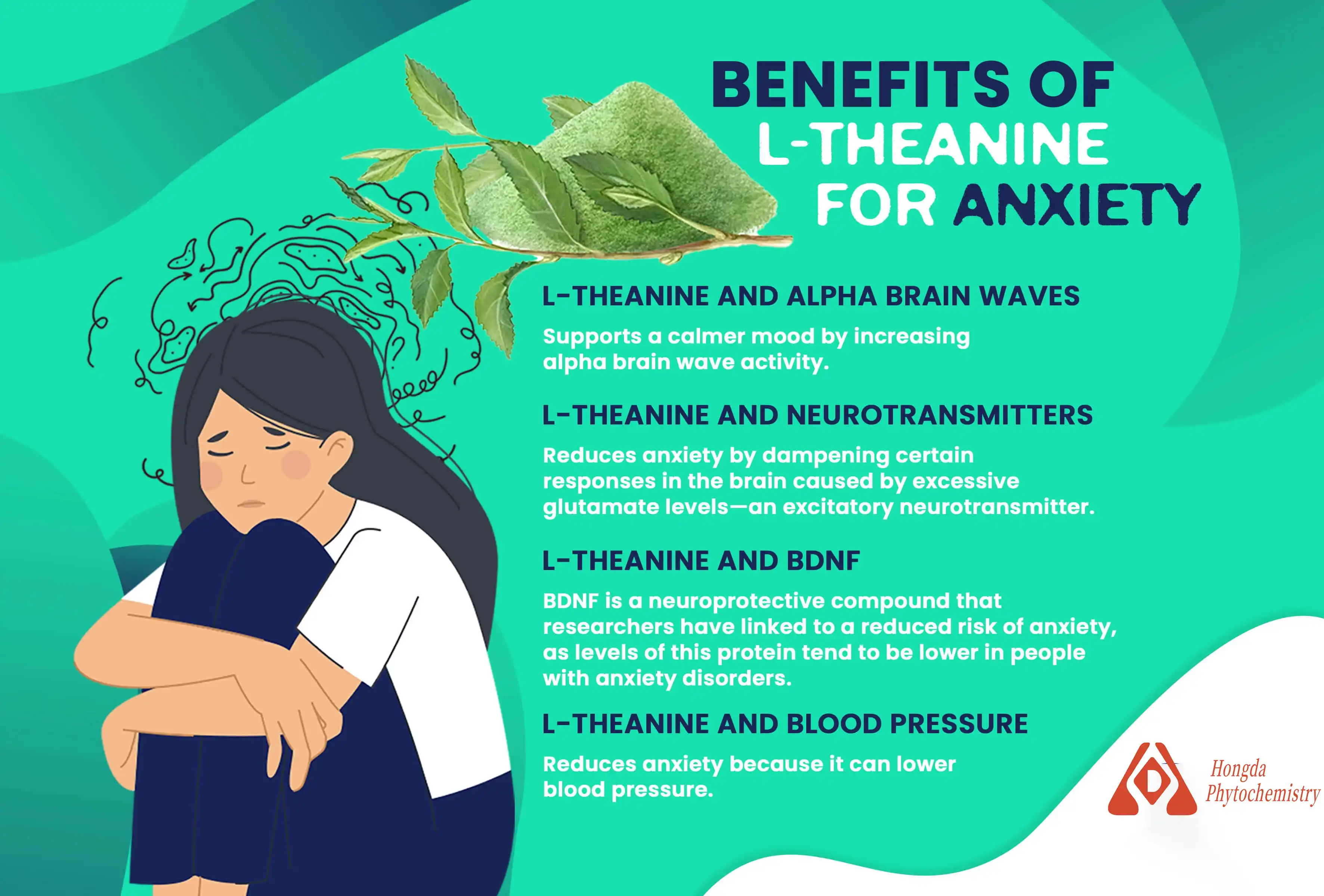 Green Tea Extract L Theanine's Anxiety Green Tea Extract L Theanine's Anxiety