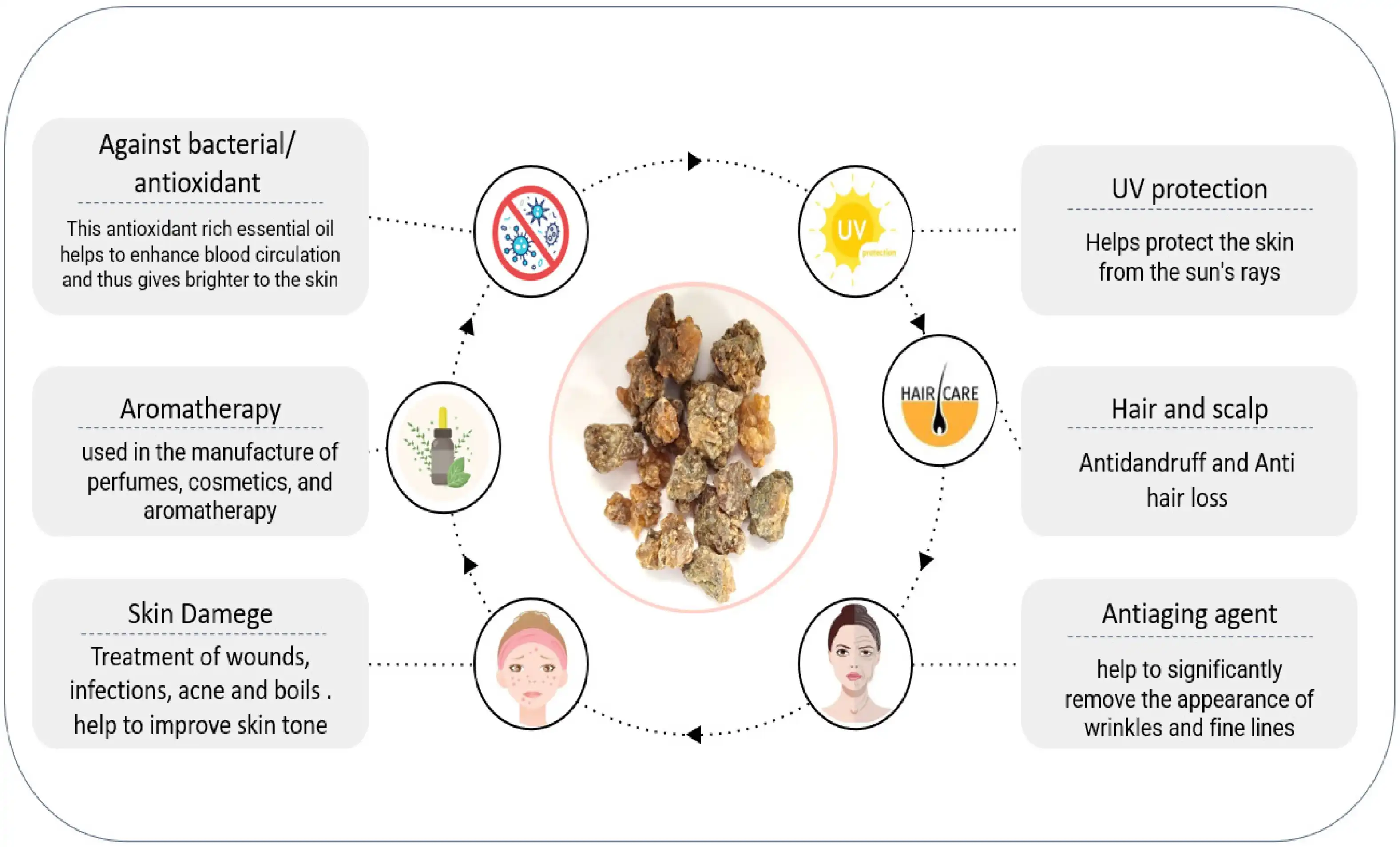 Boswellia Serrata Extract Powder Benefits Boswellia Serrata Extract Powder Benefits