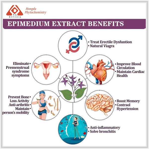 Epimedium extract benefits 