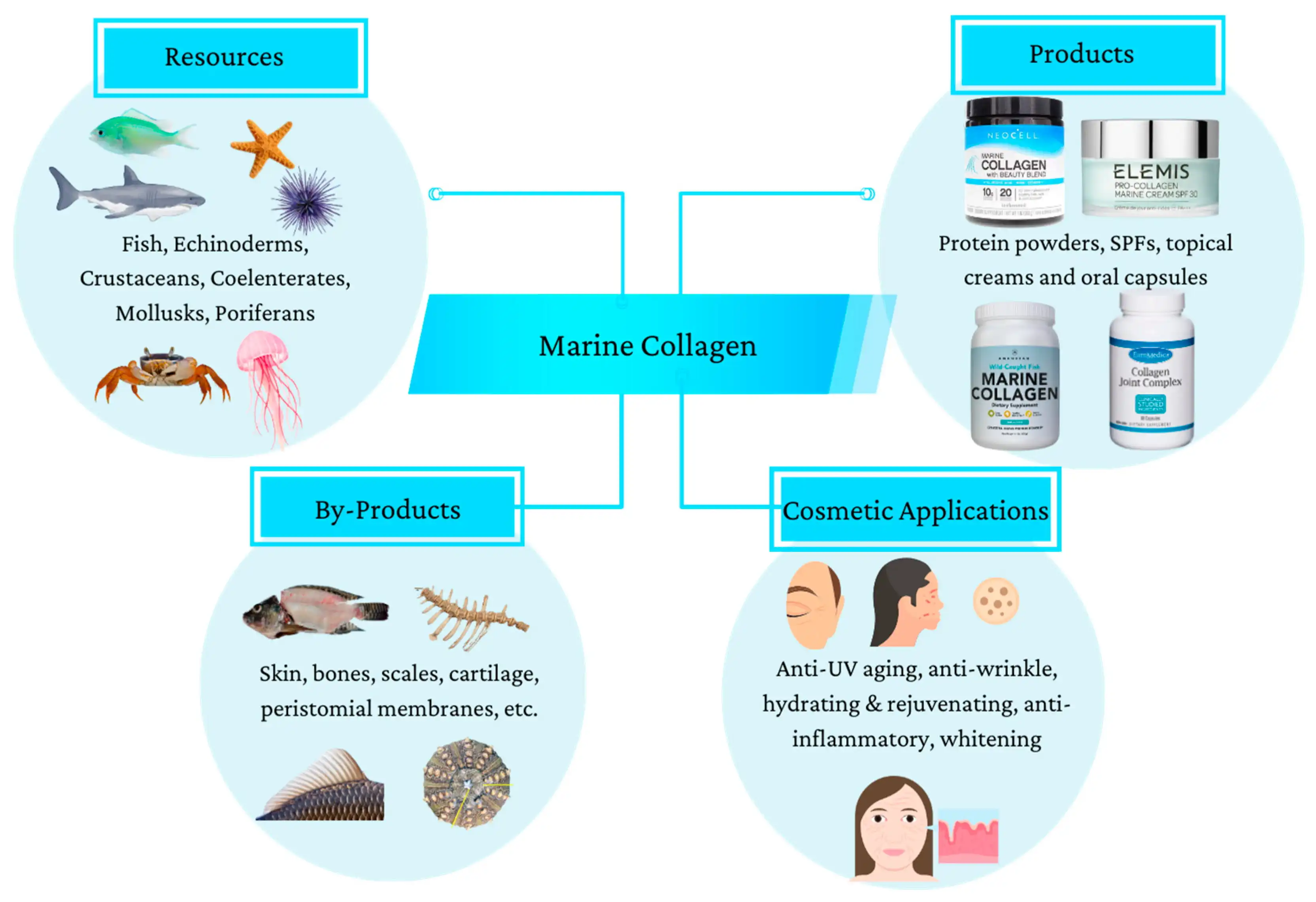 Applications and Market Considerations for Pure Fish Collagen Powder Applications and Market Considerations for Pure Fish Collagen Powder